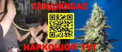 дмт Краснознаменск