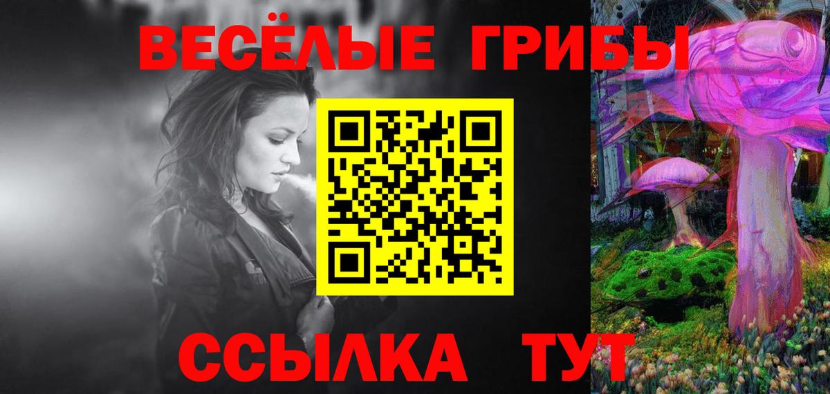 Галлюциногенные грибы Cubensis Железногорск
